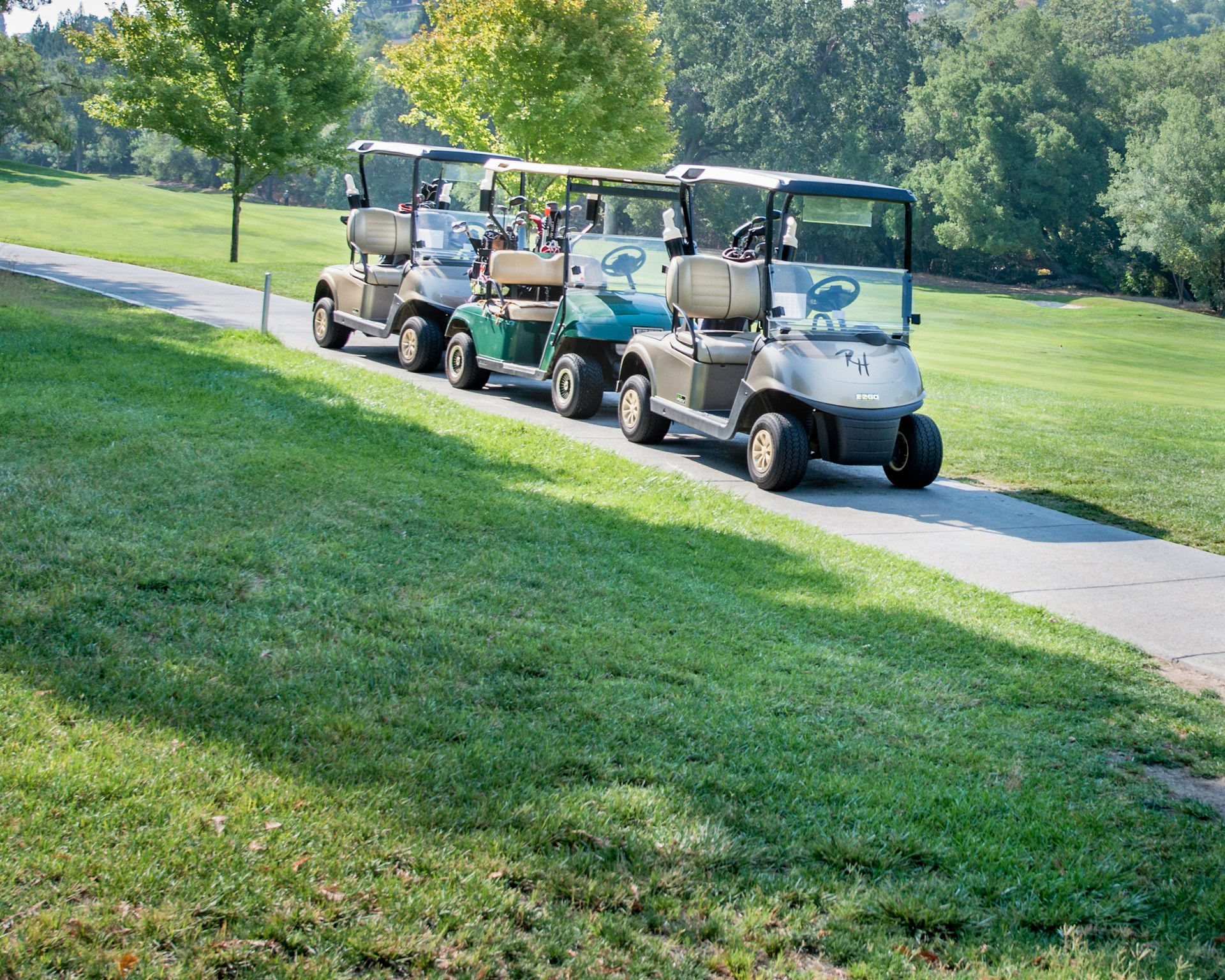 Read more about the article Alt, hvad du skal vide om el-golfvogne